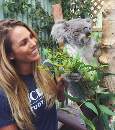 Programs - Koala @ Zoo | Professional Education Programs Abroad