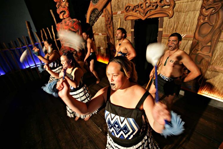 Programs - Maori Haka Show | Professional Education Programs Abroad